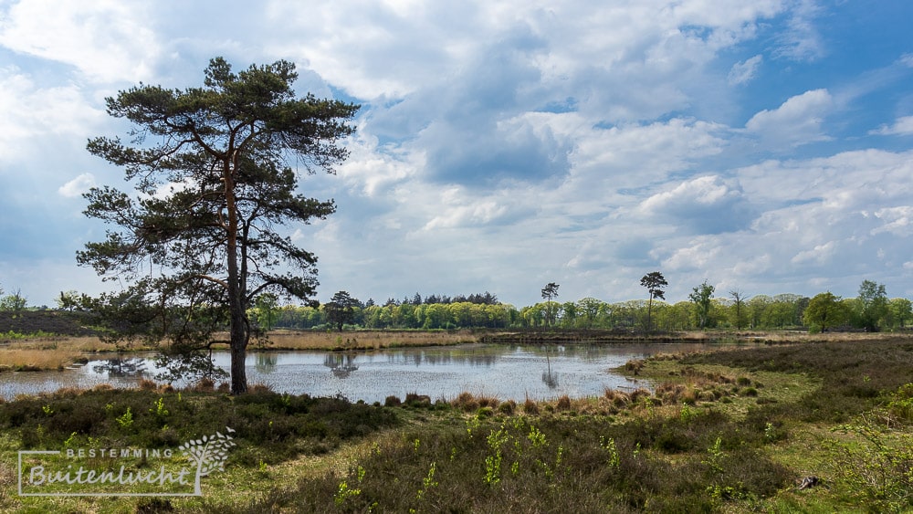 Wandelen bij de Overasseltse en Hatertse Vennen  