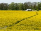 Plateau Eben Emael tijdens Trage Tocht Kanne