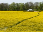 Plateau Eben Emael tijdens Trage Tocht Kanne