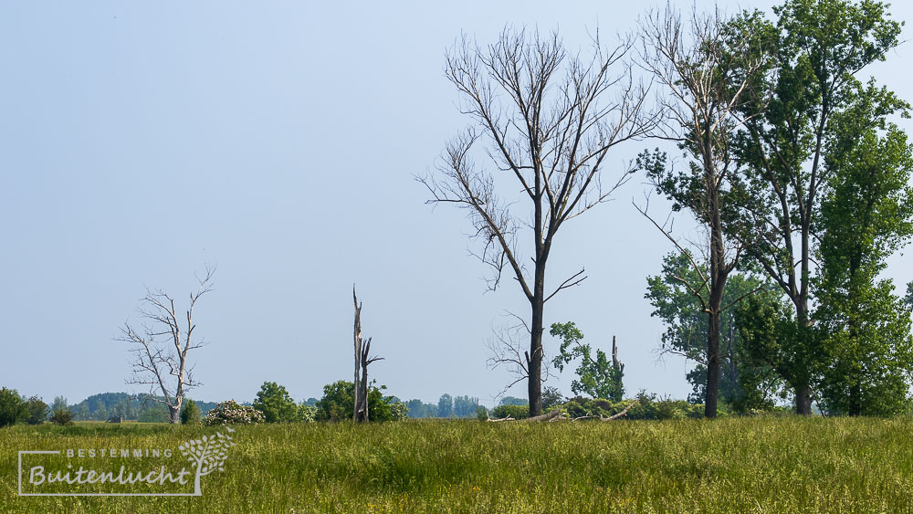 De Maasvallei, start van de Drielandenwandeling