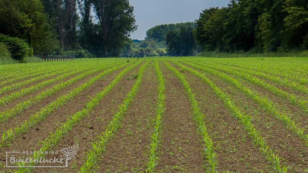 Landelijke onderdelen van de Drielandenwandeling