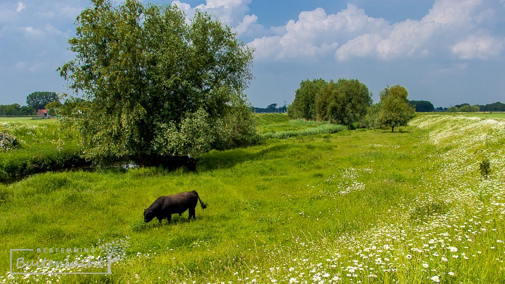 Mooie wandelen langs de vloedgraaf