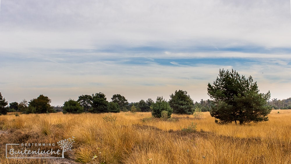 Hapertse Heide