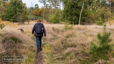 wandelen De Pals