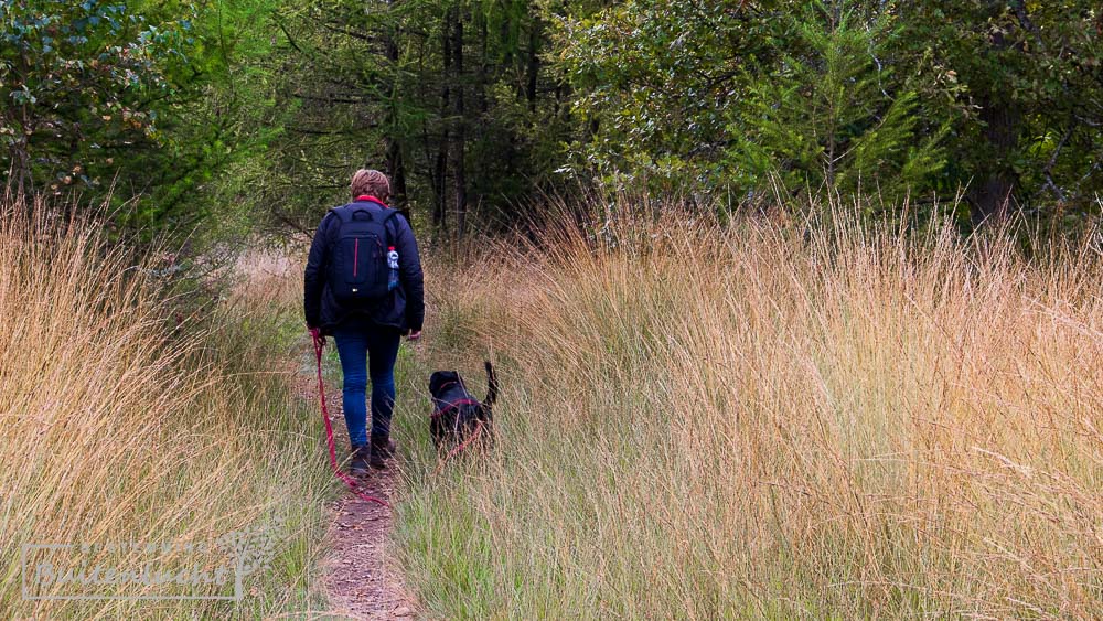 Heidewandeling De Pals, rode route 