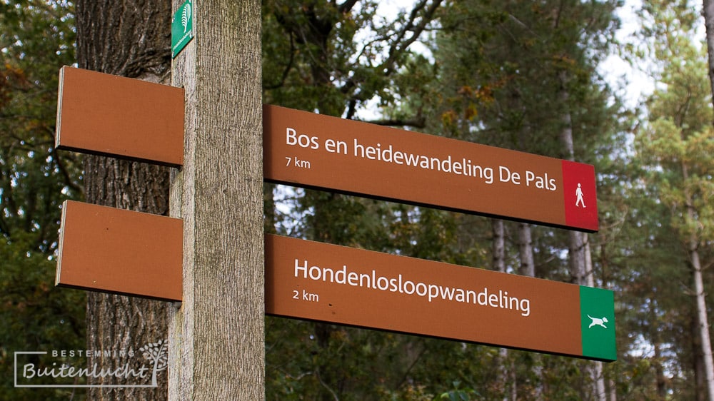 Twee wandelingen in de Pals bij Hapert