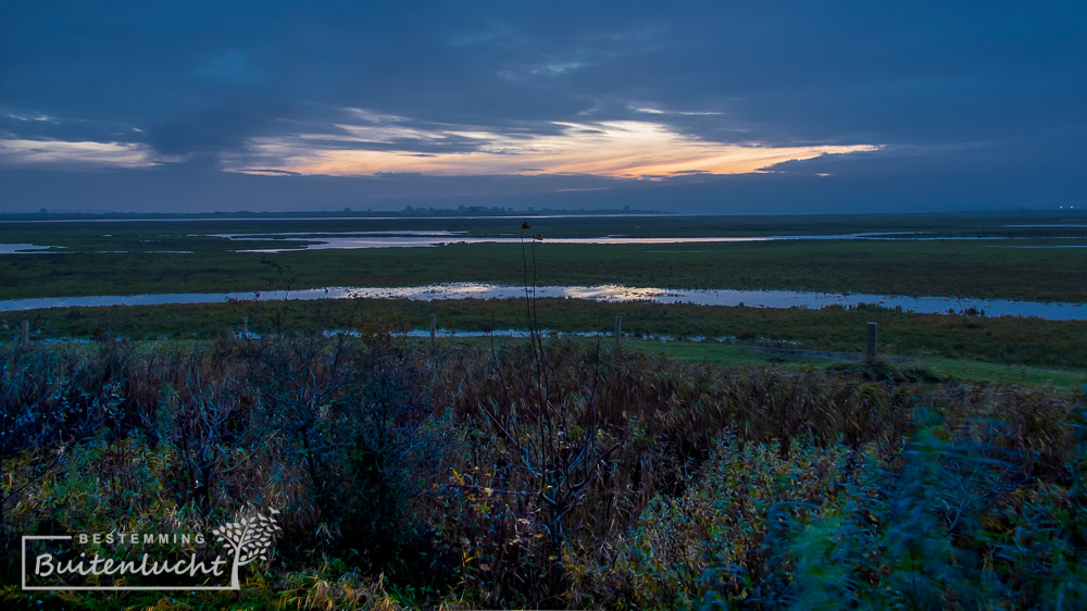 UItzicht van uitkijktoren in Lauwersmeer