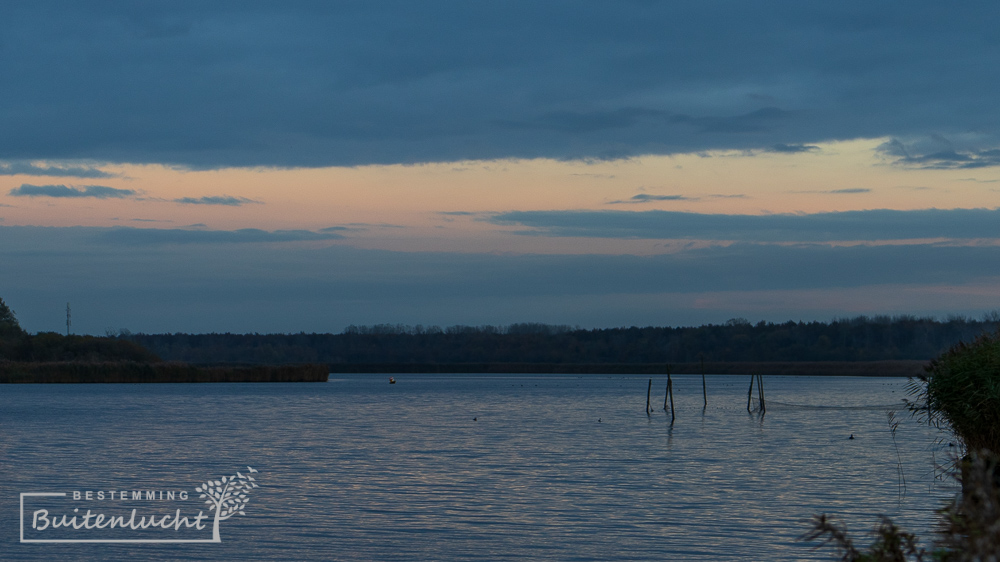 Wandelen in avondschemer in Lauwersmeer