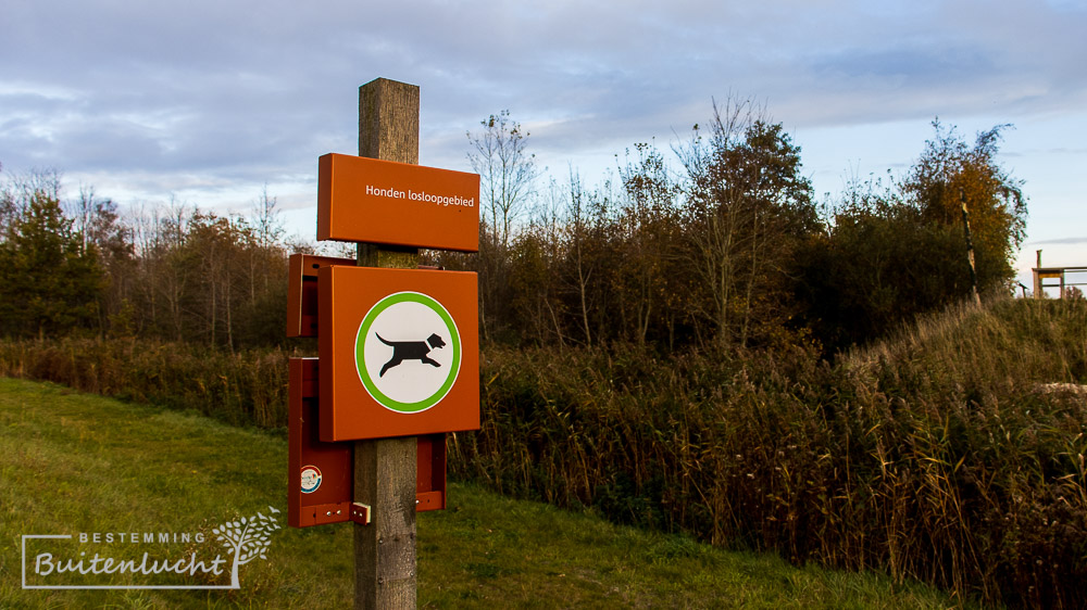 honden los in Lauwersmeer