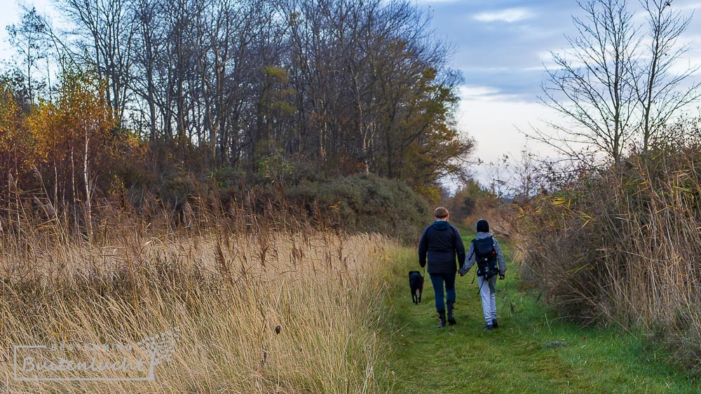 Wandelen