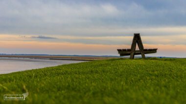 wandelen paesens moddergat Wierum