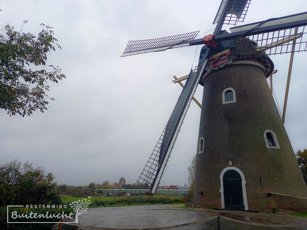 molen de Vrijheid in Beesd