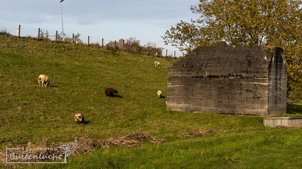 Een van de andere bunkers in het natuurgebied Molenkade