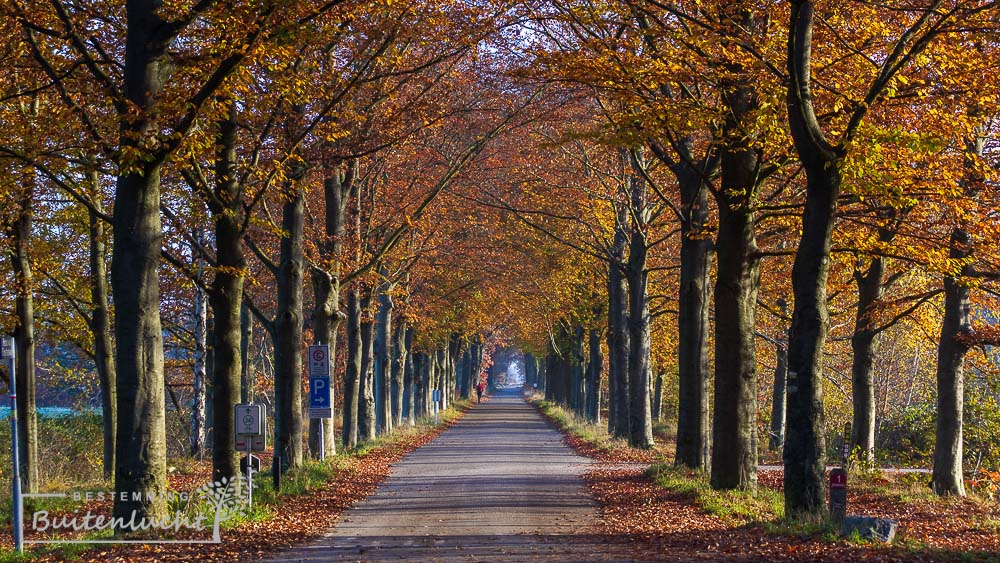 herfstkleuren bij de Achelse Kluis