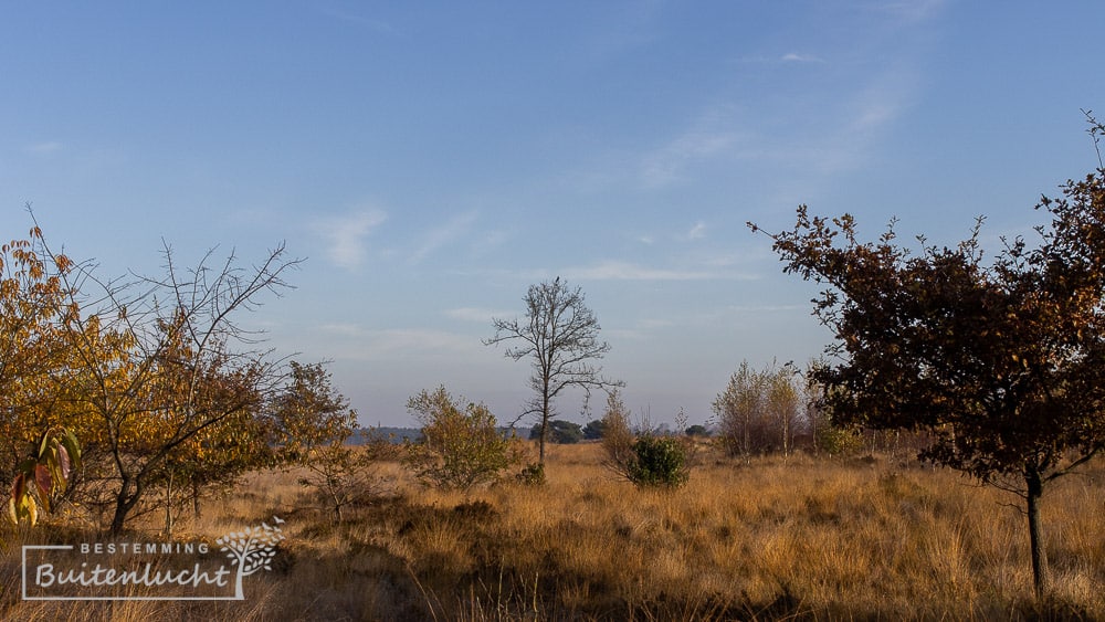 mooie natuur tijdens de wandeling langs de dodendraad