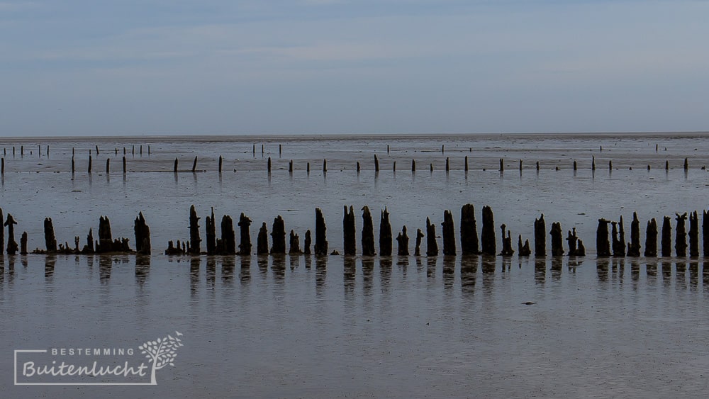 De rand van Nederland,waddenzee bij Wierum