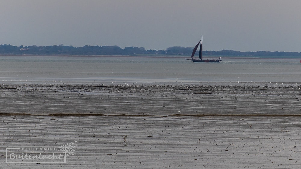 waddenzee bij Moddergat