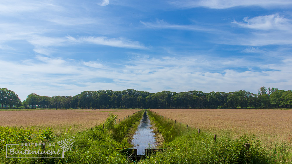 voormalige landerijen van Maria Toevlucht