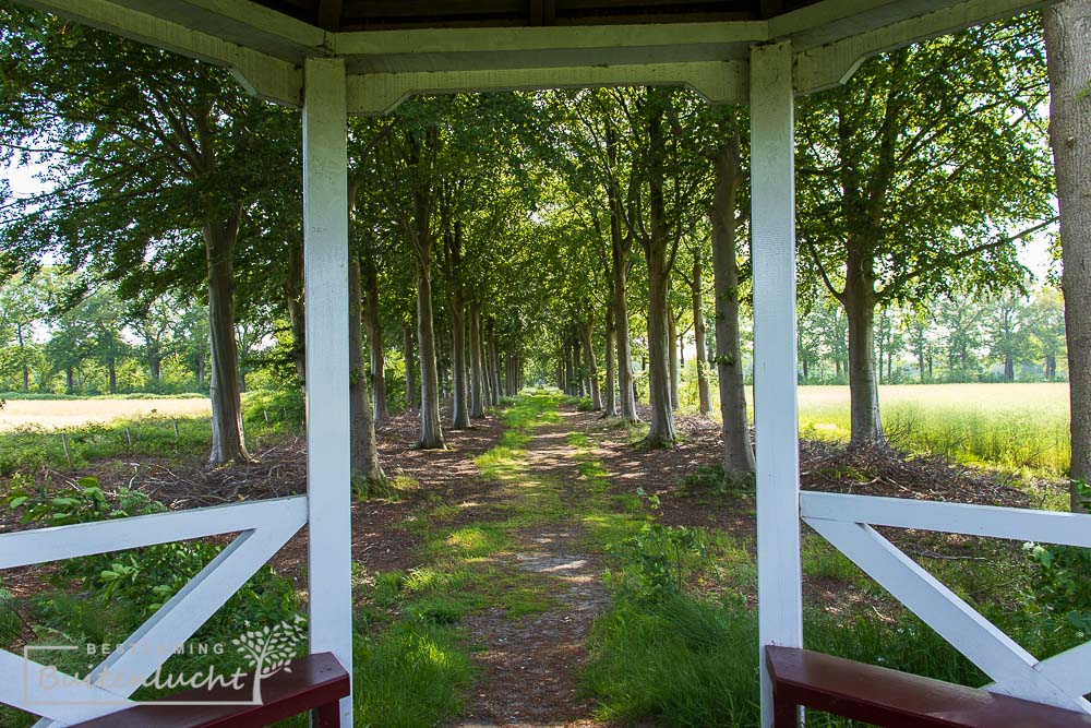 Koepeldreef vanaf de Koepen naar De Moeren tijdens Trappisten wandelroute