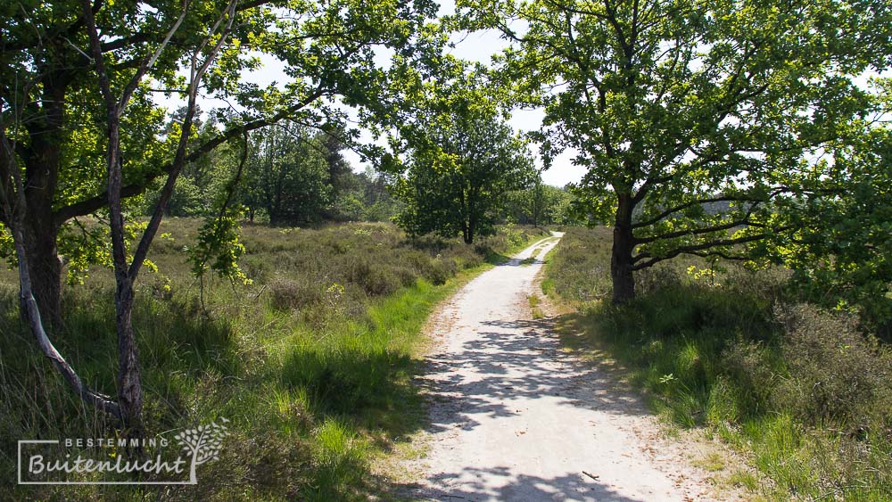 Heide op de Tachtig Bunders