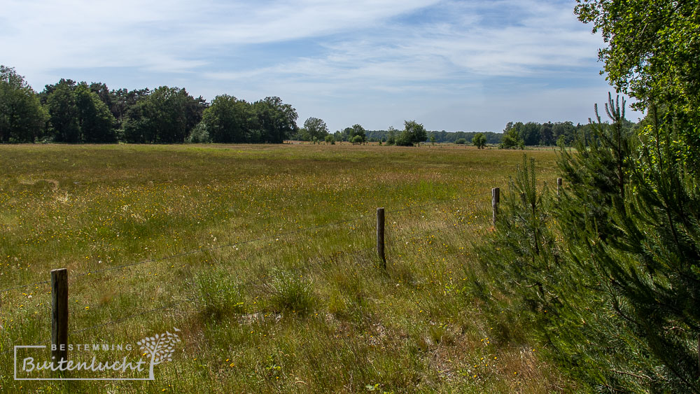 mooie natuur rondom landgoed de Moeren bij Zundert