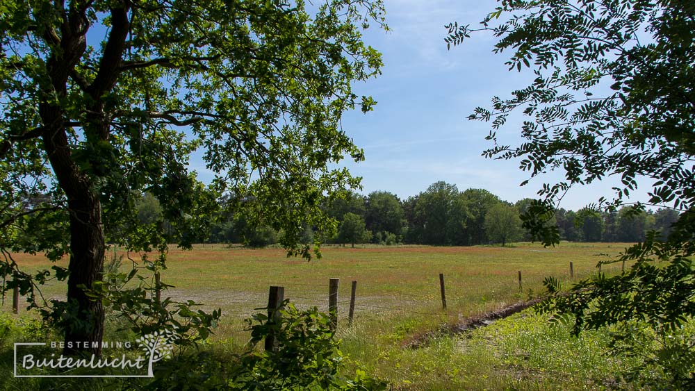 Doorkijkje naar de velden tijdens de Trappisten wandelroute