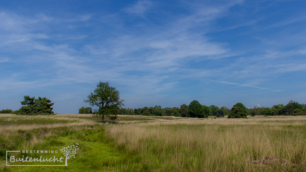 trappisten wandelroute zundert