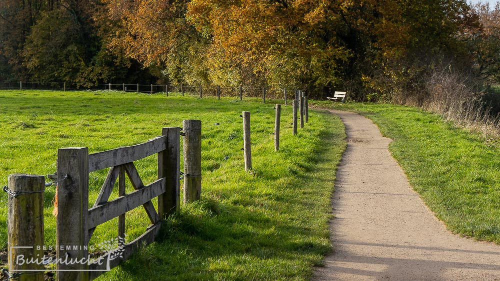 Parkbos tussen Neerijnen en Waardenburg