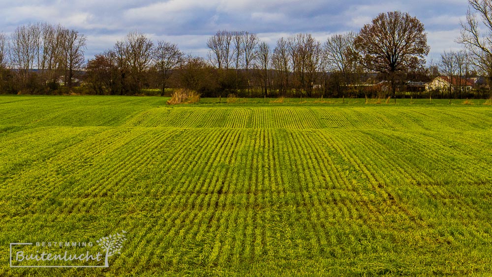 Landerijen bij Stokkem bij de rode route