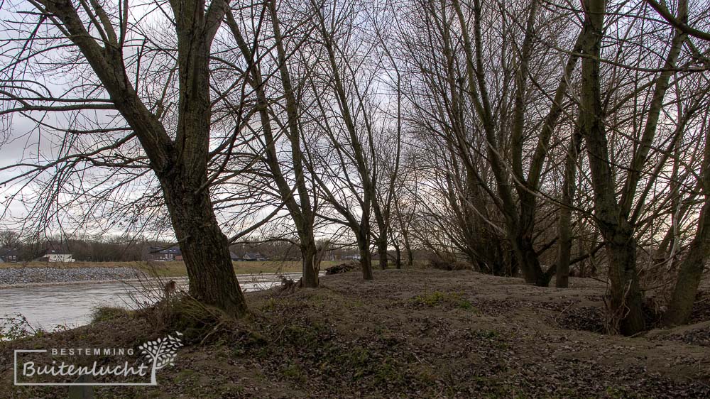 Struingebied Kerkeweerd