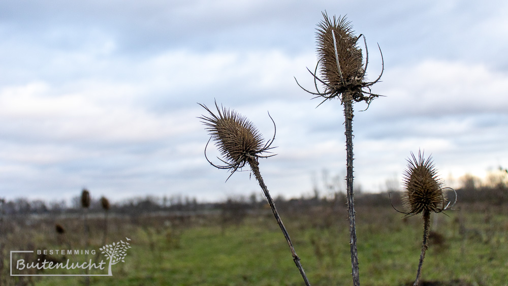 Wandelen in Negenoord bij Stokkem