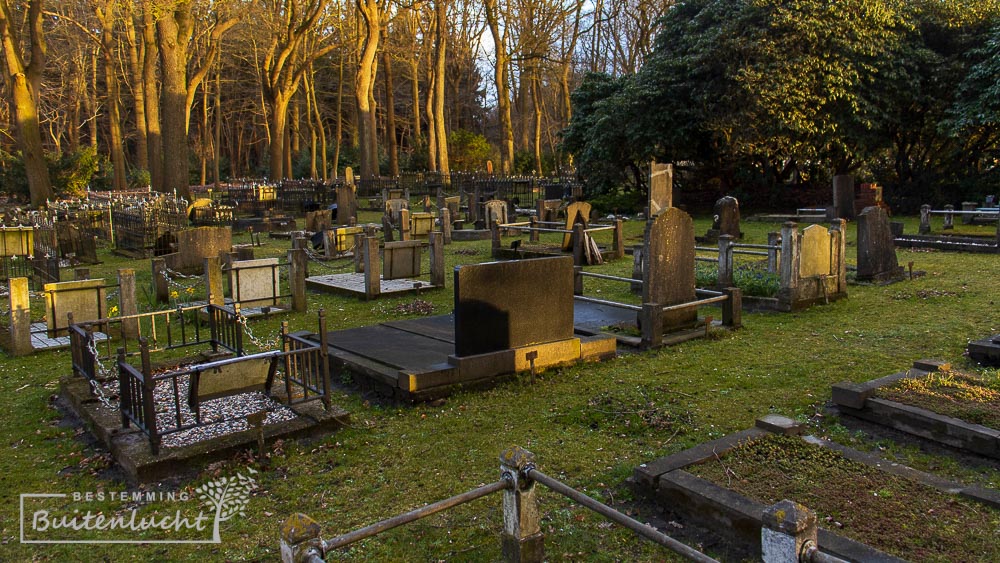 Oude graven en grafmonumenten