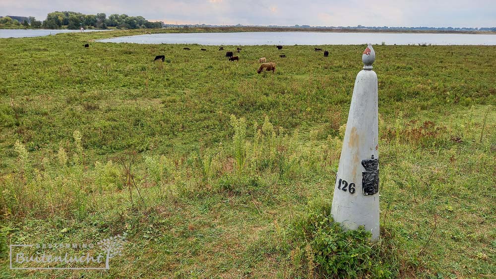 Vanuit Thorn loopt een zeer bijzonder pad langs de Maas langs zeven grenspalen, ook wel het grenspalenbos genoemd.