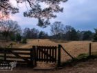 wandelen in de beegderheide