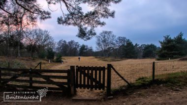 wandelen in de beegderheide