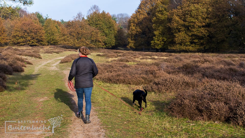 wandelen in eigen land