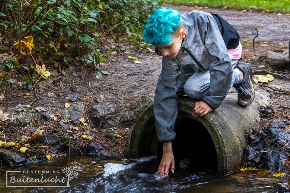 Het Waterloopbos met kinderen