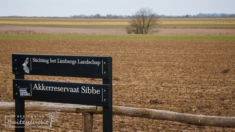 Plateau van Margraten en Akkerreservaat Sibbe