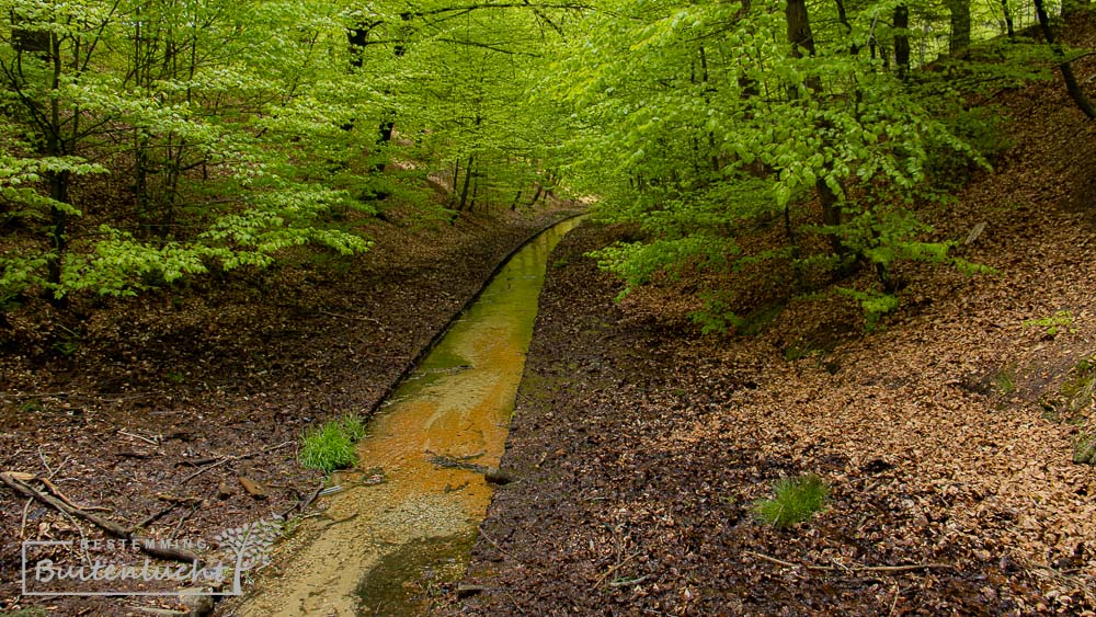 De Vrijenbergerspreng net na de grootste waterval van Nederland