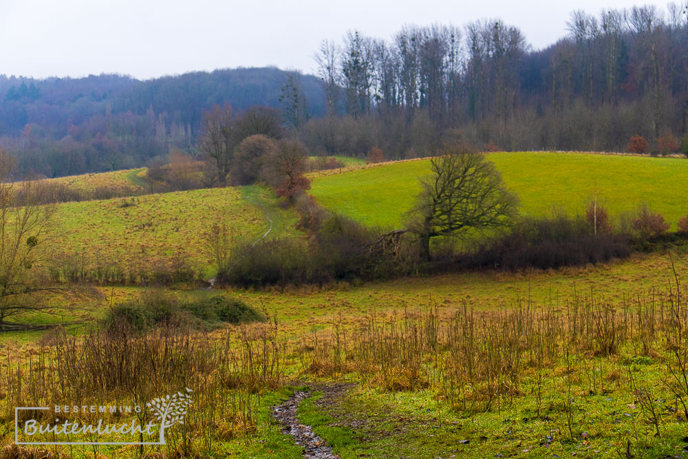 Limburgse glooiende wandelpaden