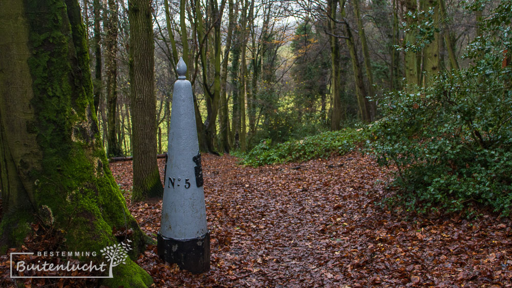 De 5e van de reeks grenspalen bij het Drielandenpunt