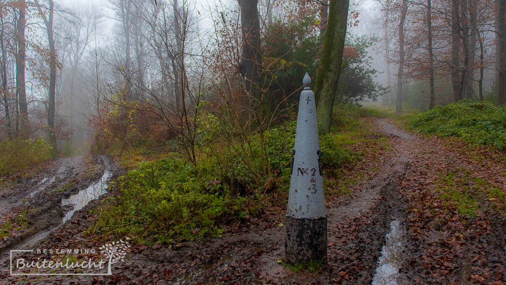 Grenspaal 2 in het Vijlenerbos bij Vaals