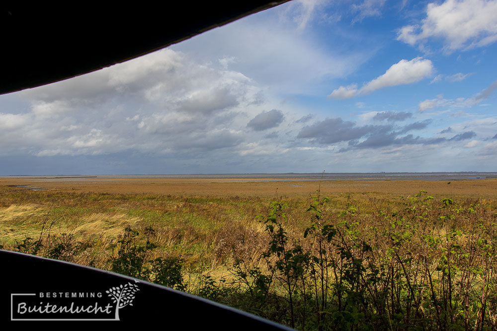 Uitzicht vanuit Kees Wevers Wadpost