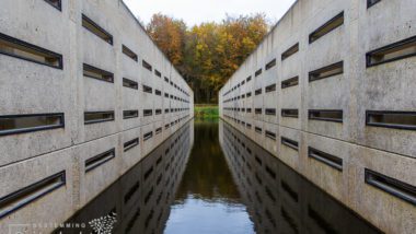 Deltawerk // in Waterloopbos