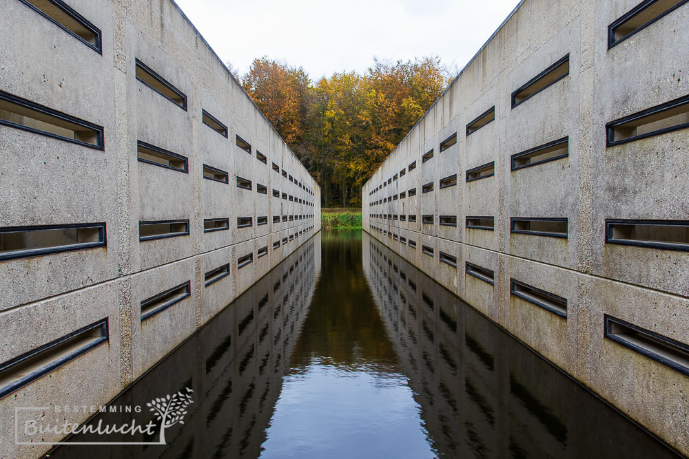 Deltawerk // in Waterloopbos