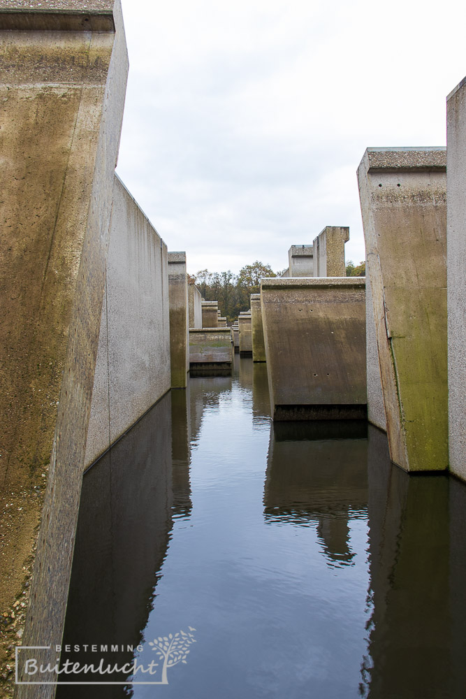 Deltawerk // in Waterloopbos