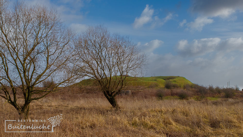 Wandelend door de Klompenwaard met fort Pannerden op achtergrond