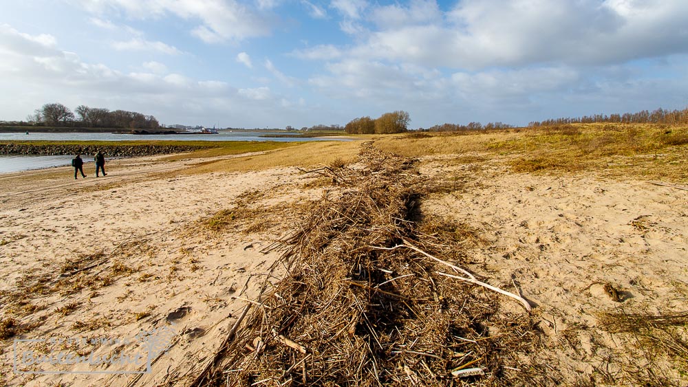 Wandelen door de klompenwaard langs de Waal bij Doornenburg