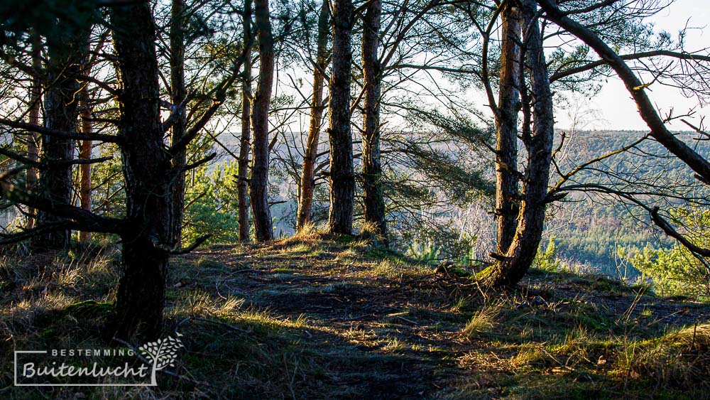 natuurschoon boven op de Terril in Terhills