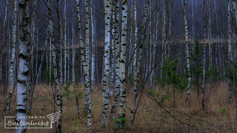 natuur in Terhills